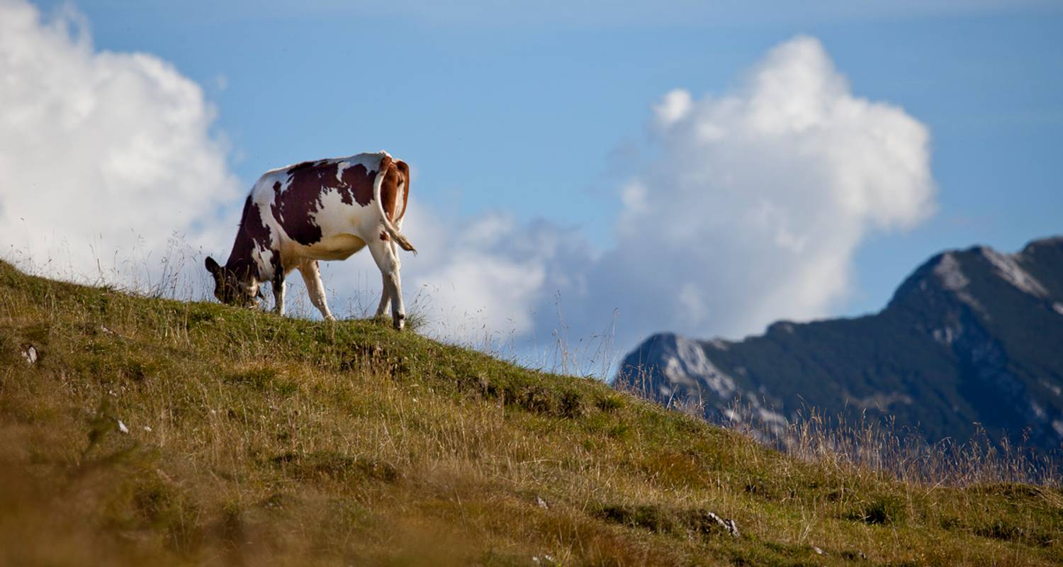 Crossing the Alps From Tegernsee to Sterzing 8 Days