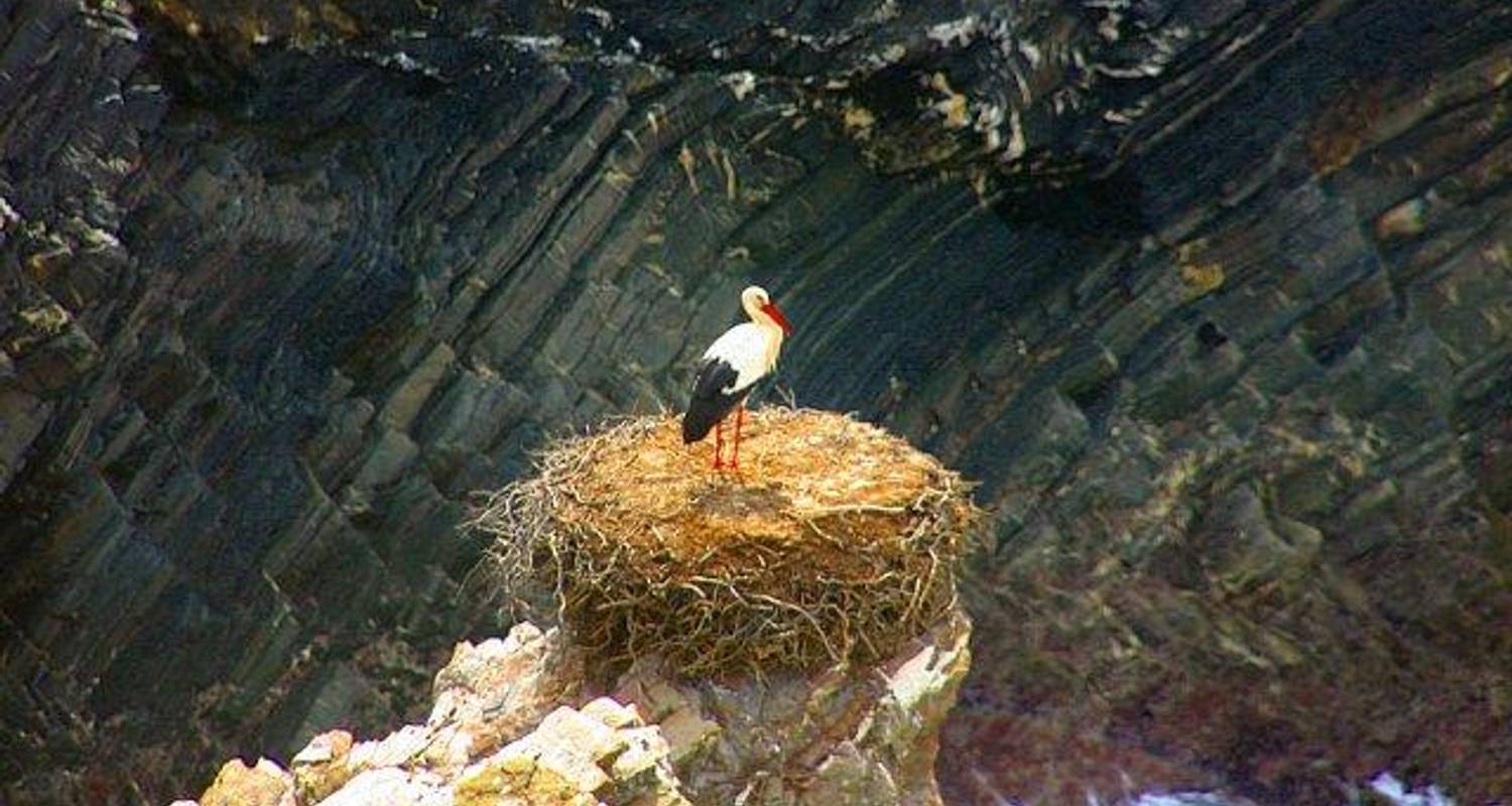 Best of Rota Vicentina 8 Days