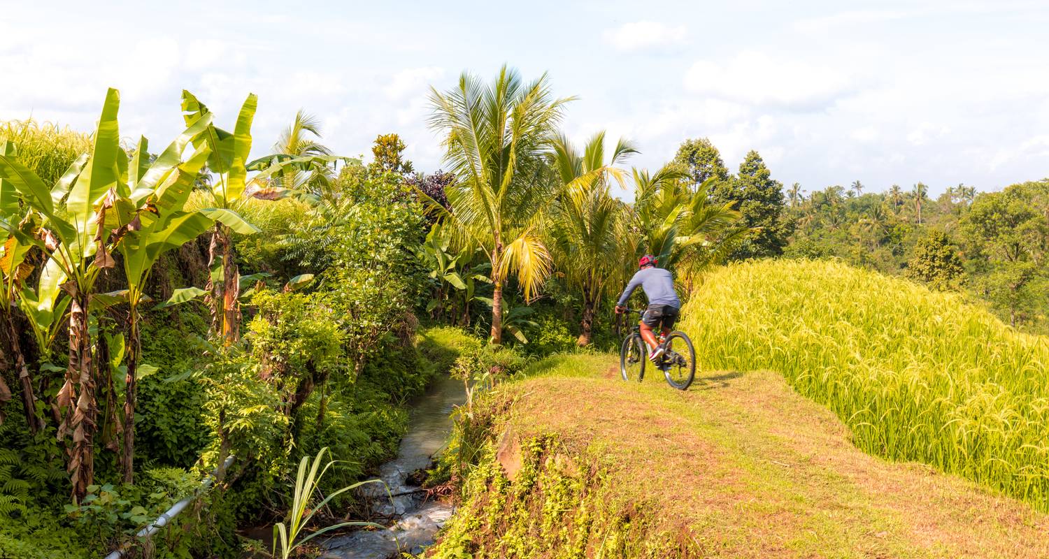 Indonesia Tours & Trips With International Flights Included