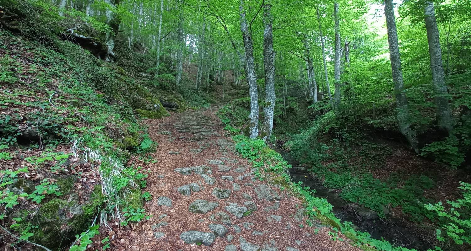 St. Francis' Way - Rimini to Chiusi della Verna 8 Days