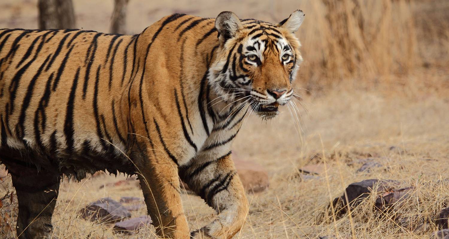 Photography Tours & Trips in India