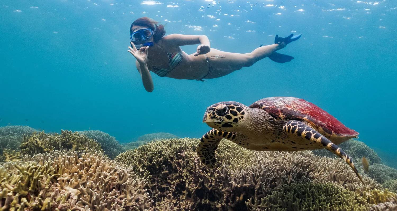 Private Tours & Trips in Philippines