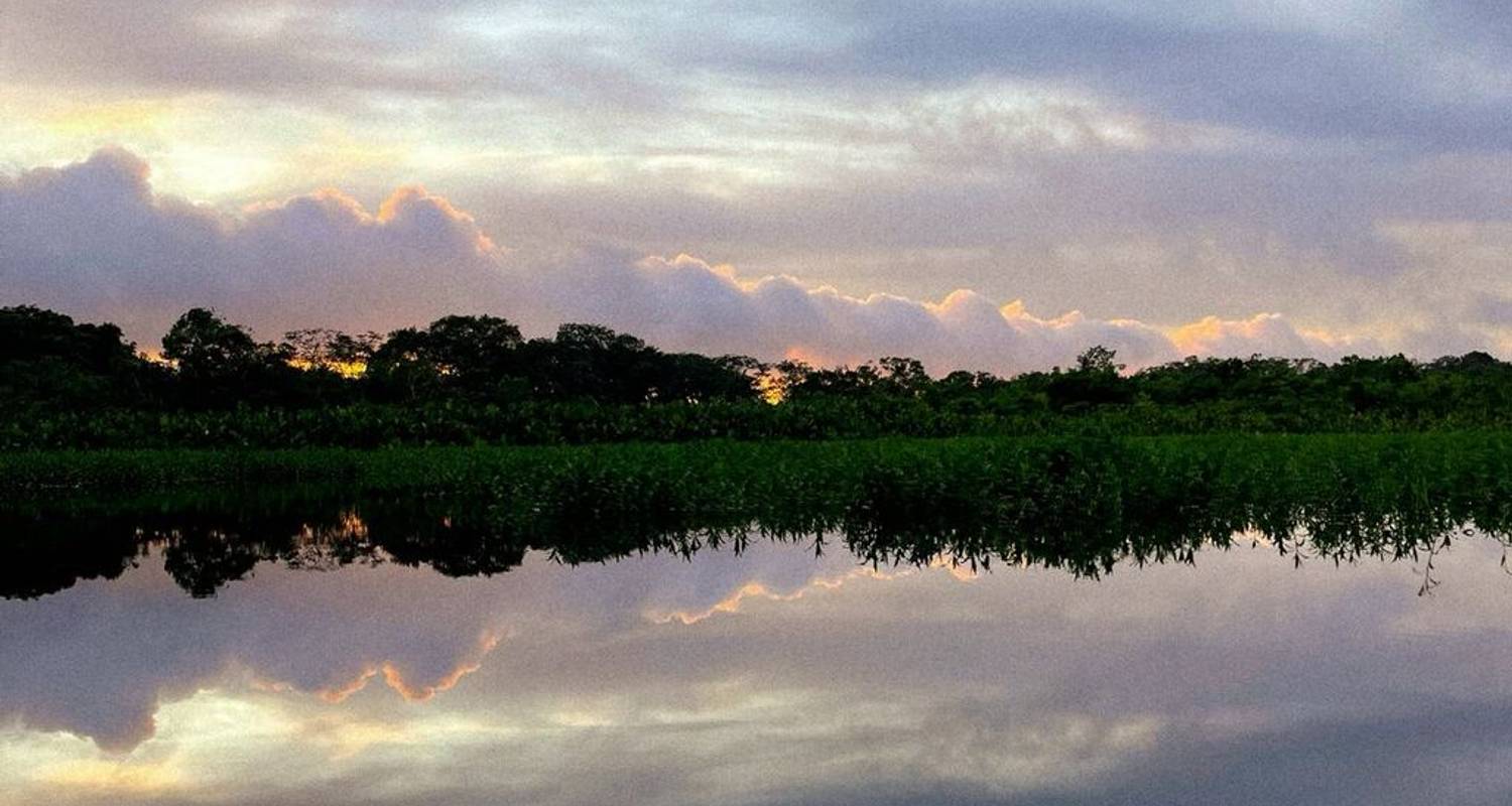 Circuits dans le Parc national de Yasuni