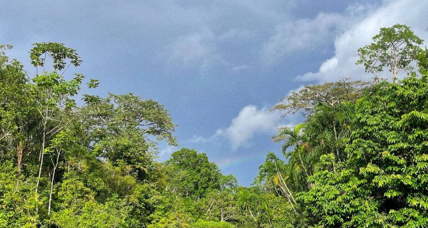 Circuits dans le Parc national de Yasuni