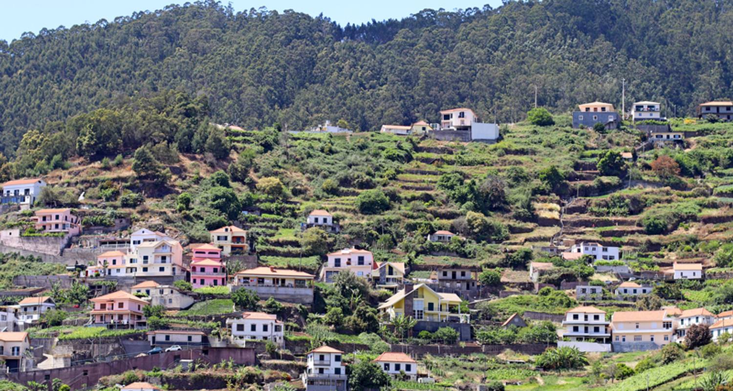 Madeira 's Wild North Coast 8 Days