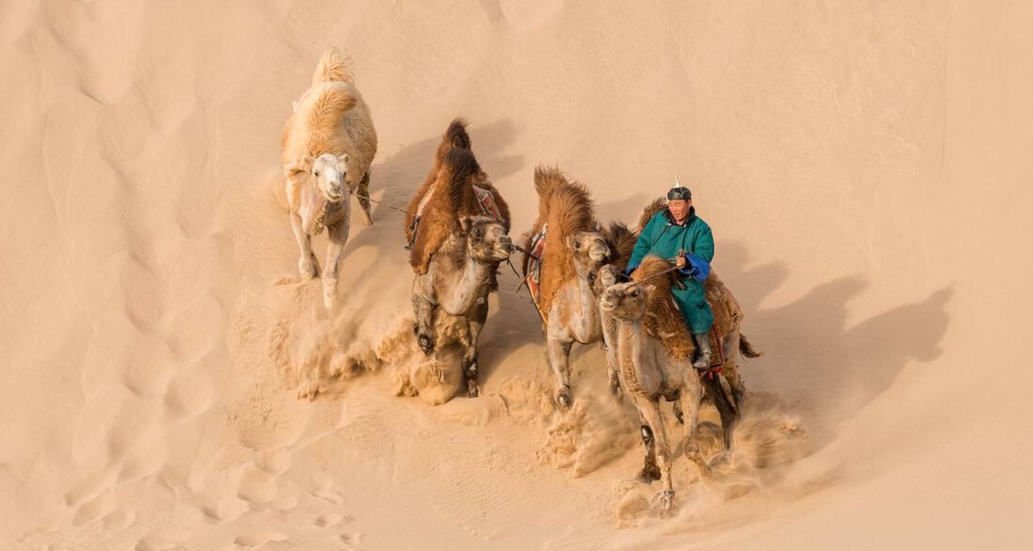 Trans-Mongolian Railway Adventure