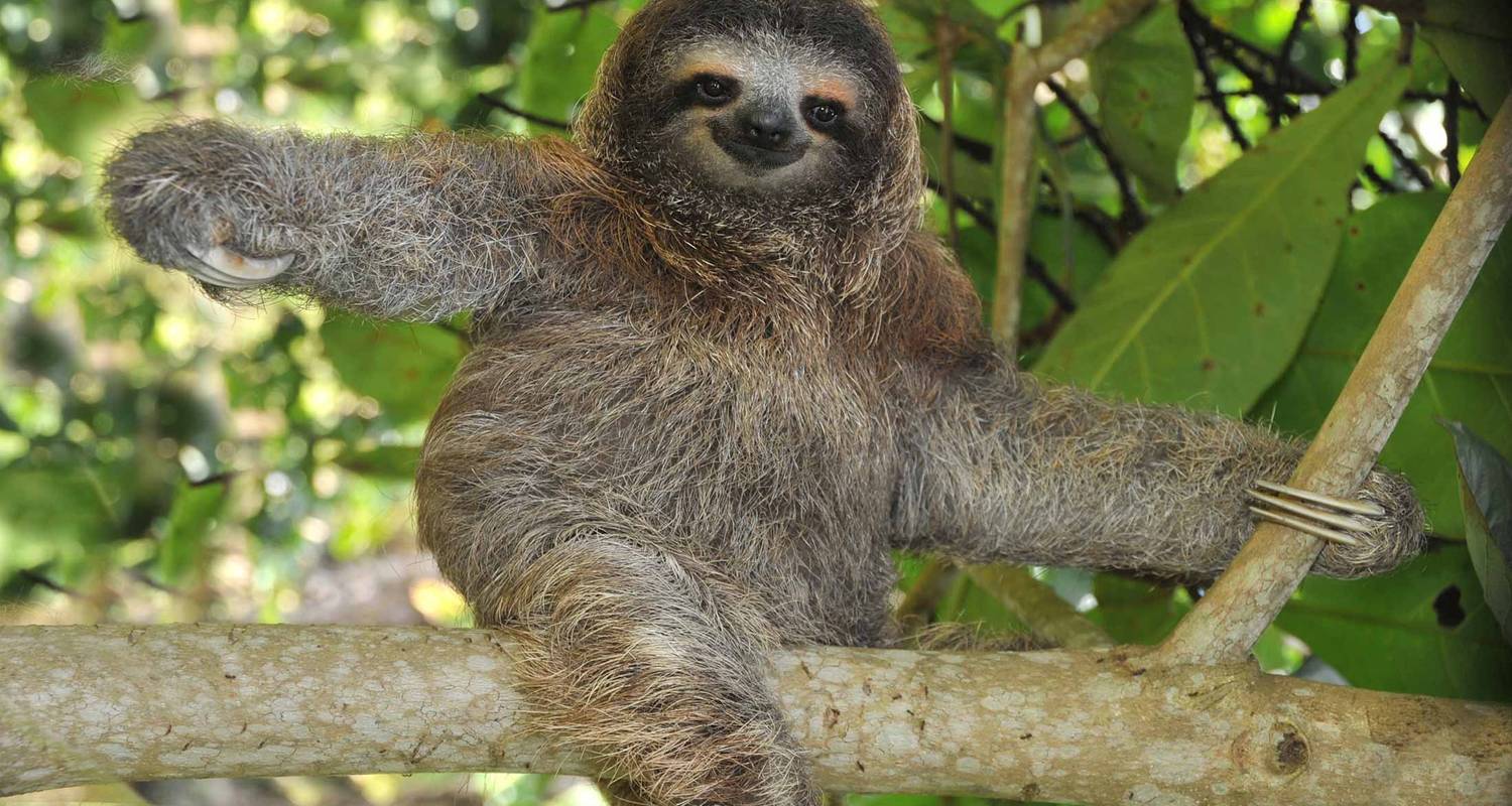 Amérique centrale : Circuits vie locale 2025/2026