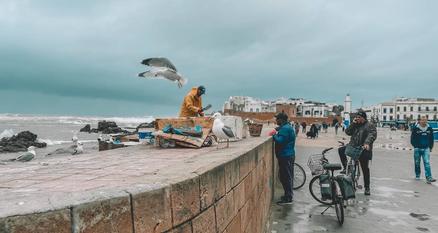 Atlantic Coast Morocco Tours & Trips