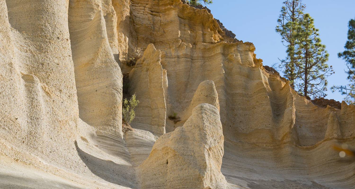 Private Tours & Trips in Tenerife