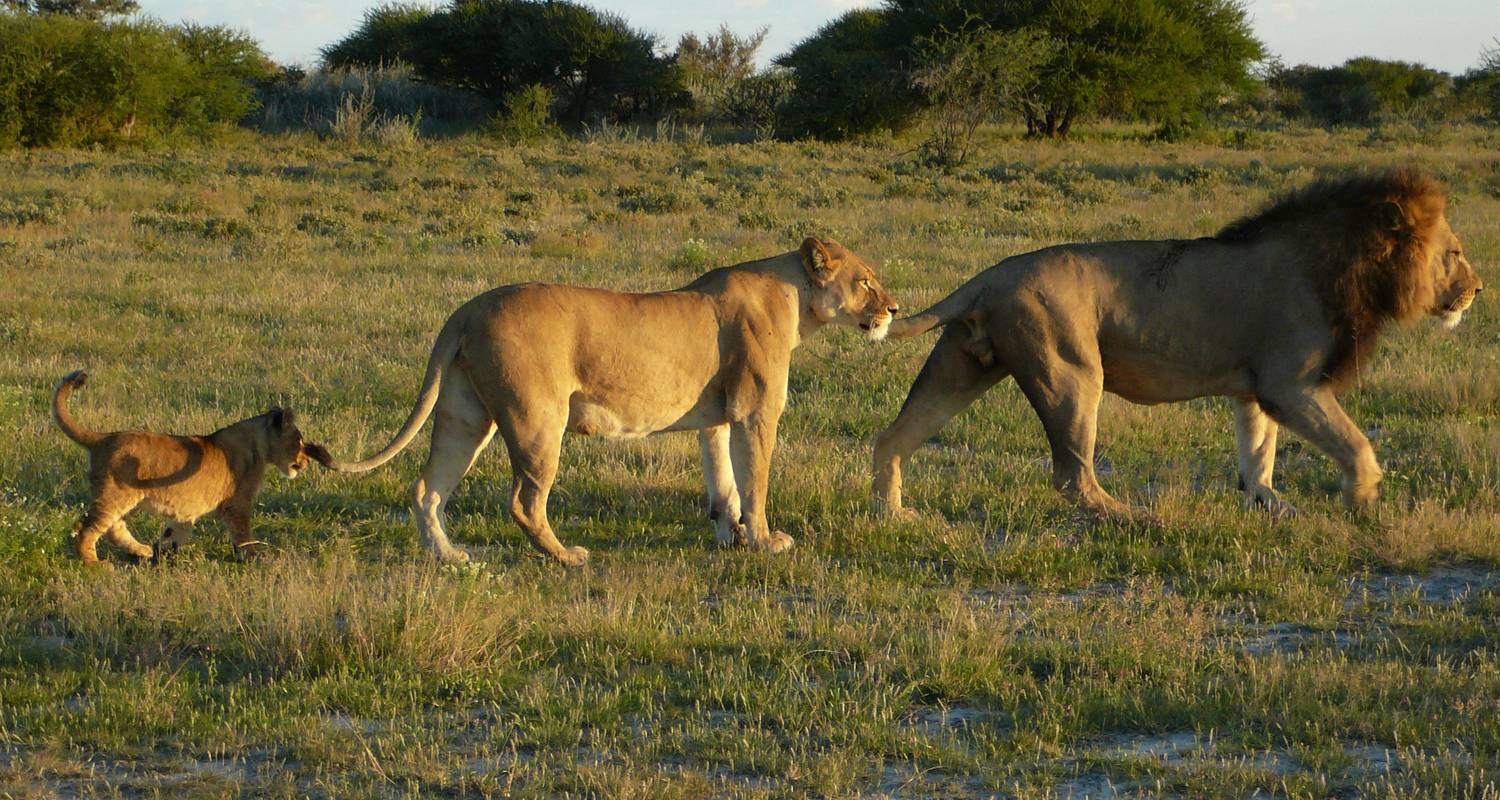 Circuits dans le Kafue