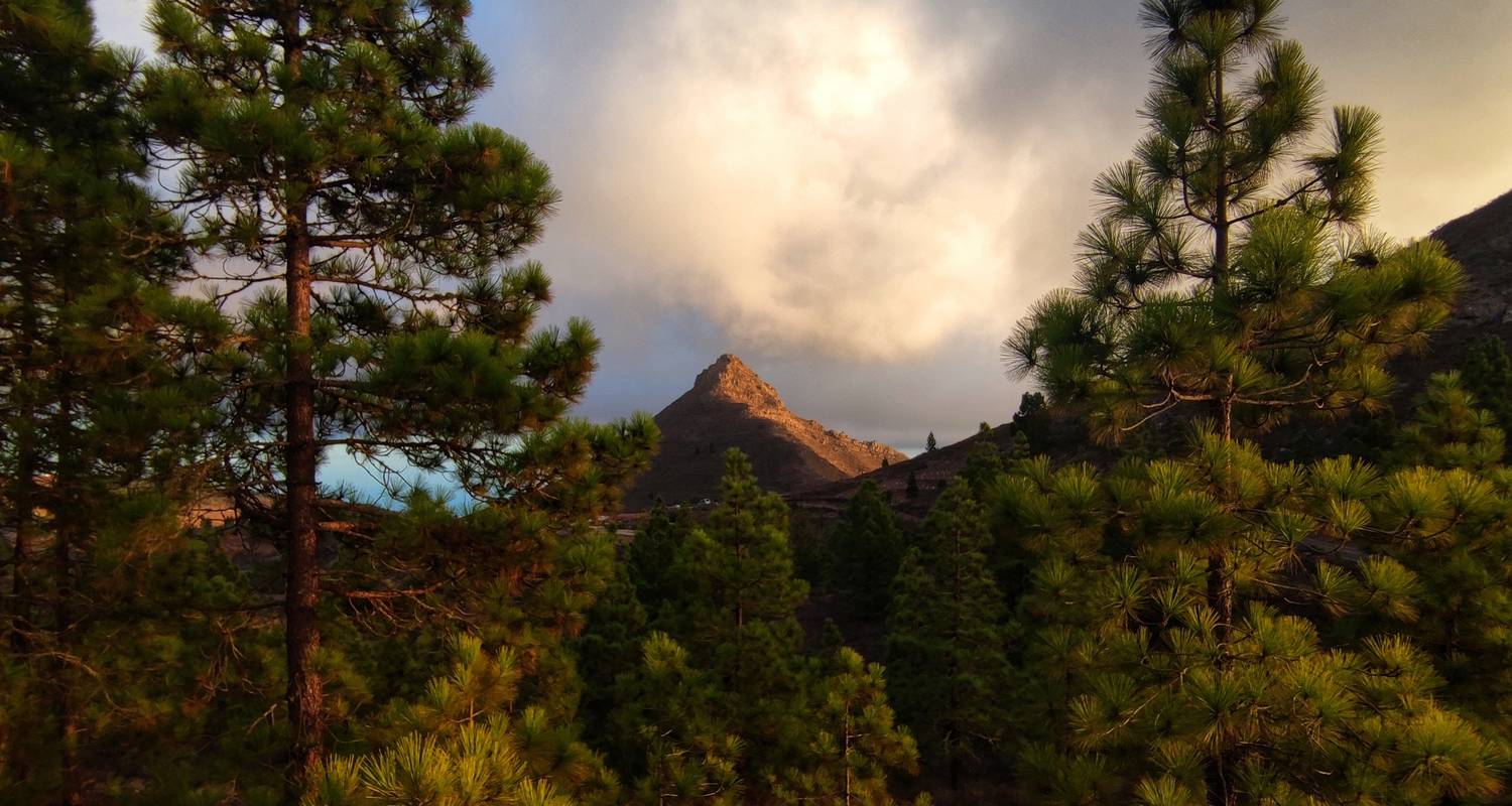 Tenerife individual - Best of GR 131 (8 Days)