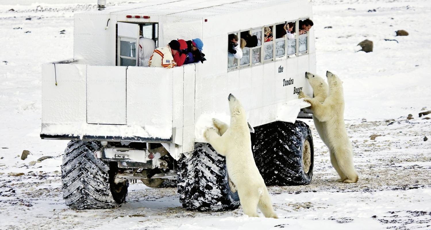 Ice barbarian experience with Tundra Buggy Lodge (6 nights) - MEIERS WELTREISEN