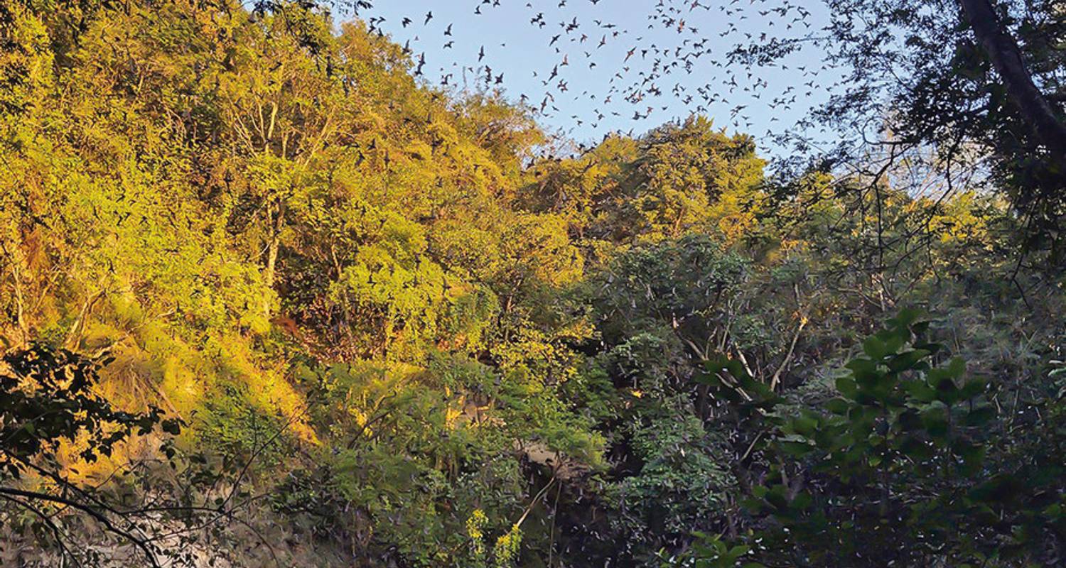 Mexiko Rundreisen ab Cancun