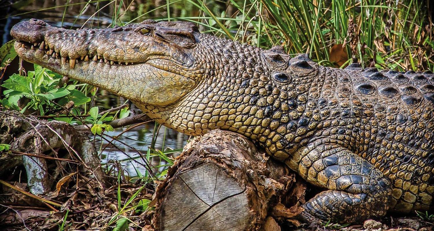 Sunbelt USA Rundreisen