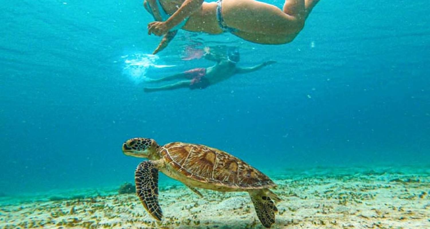 Op Maat Gemaakt Rondreizen in Palawan