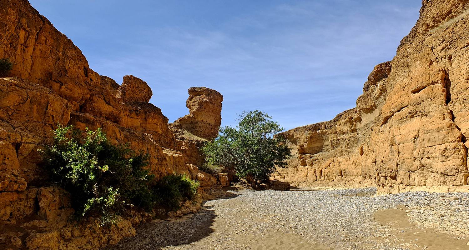 Ecoreis Rondreizen & Tours