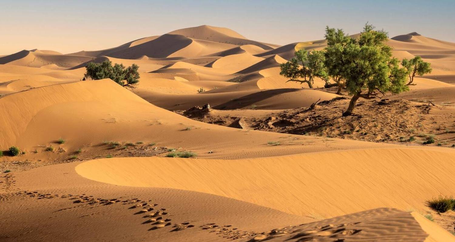 Privé Rondreizen in Sahara-Woestijn