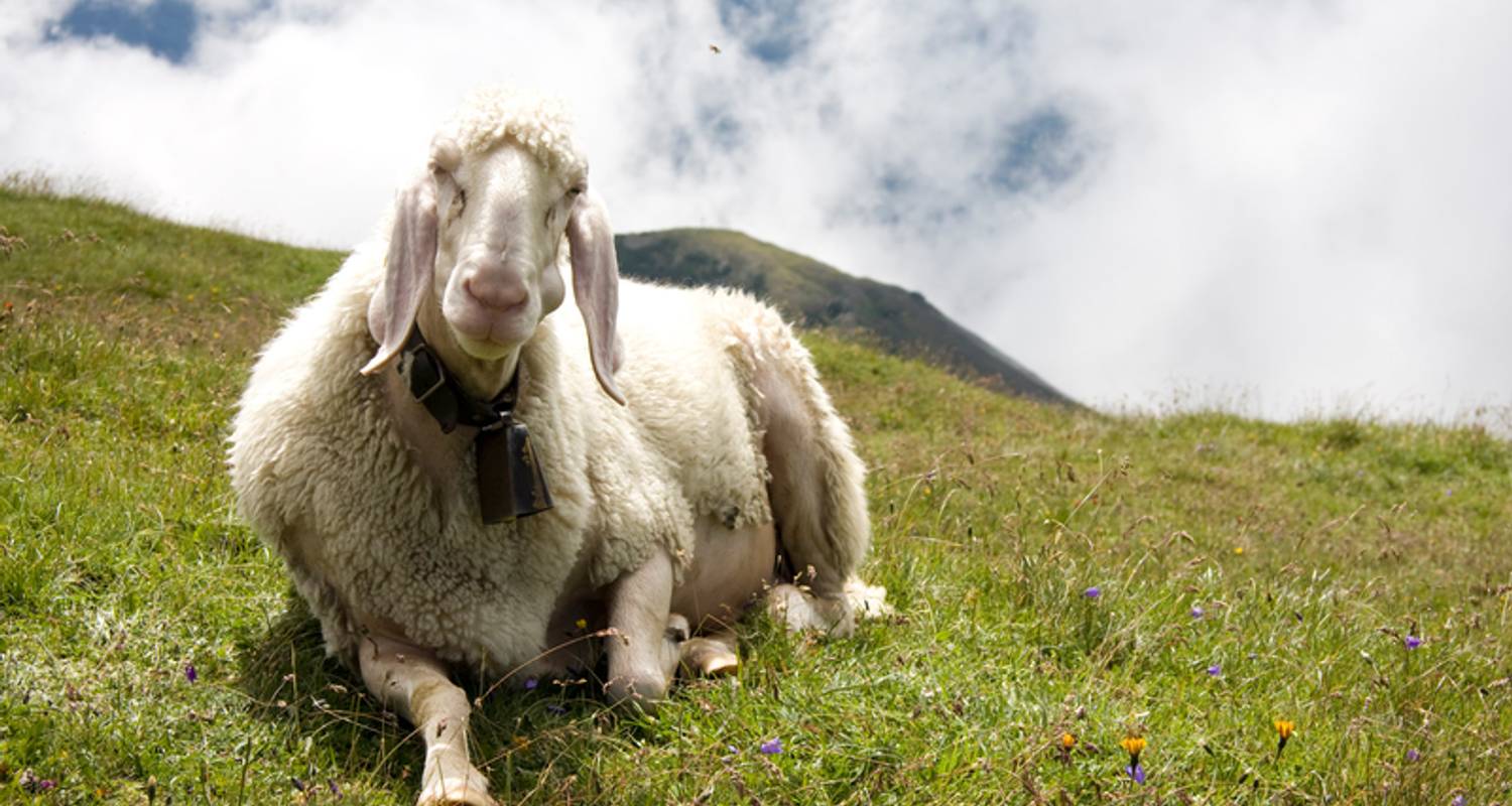 Hike the Tiroler Adlerweg individually (6 Days)