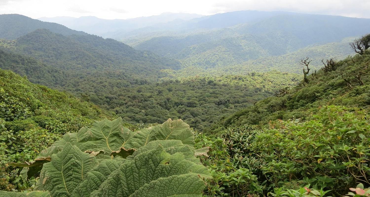 7-Daagse rondreis Costa Rica