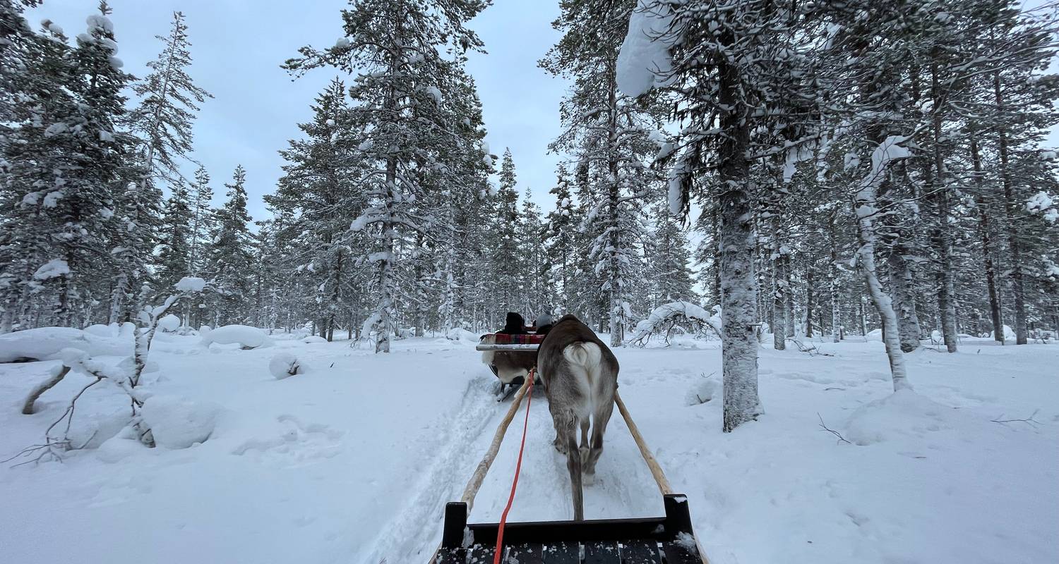 7 Tage Lappland Rundreisen