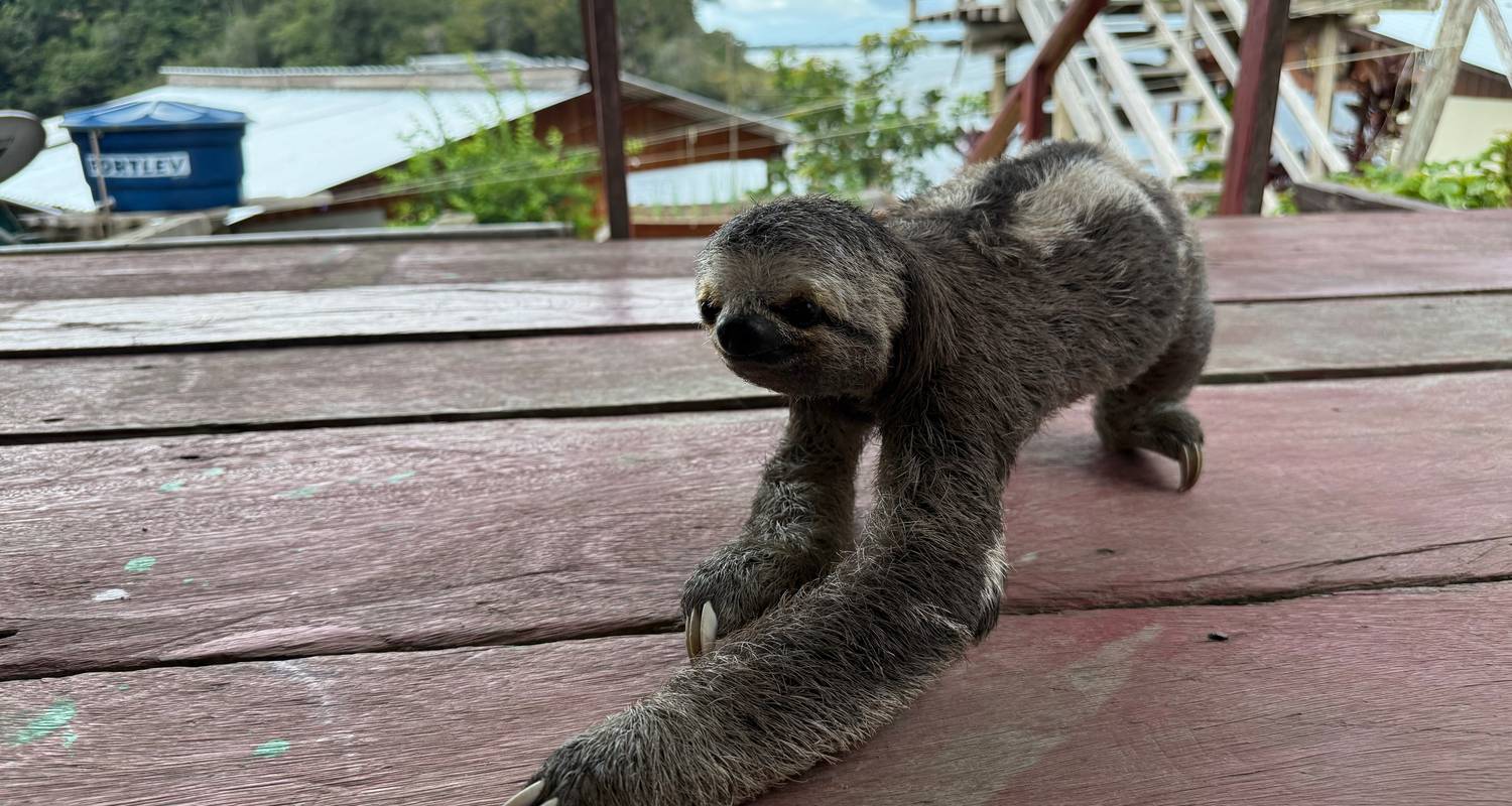 Circuitos por el Norte de Brasil