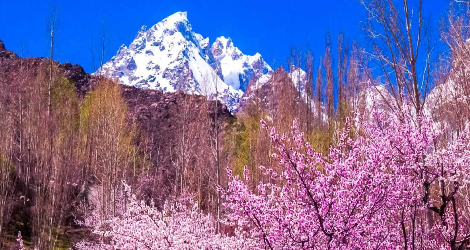 Expédition Blossom au Gilgit-Baltistan, Pakistan - Crossroads Adventure 