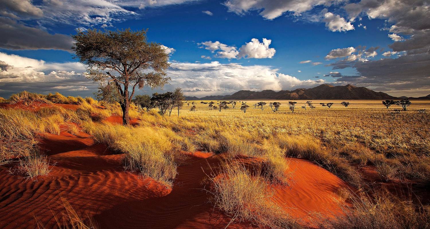 Namibia Tours & Trips