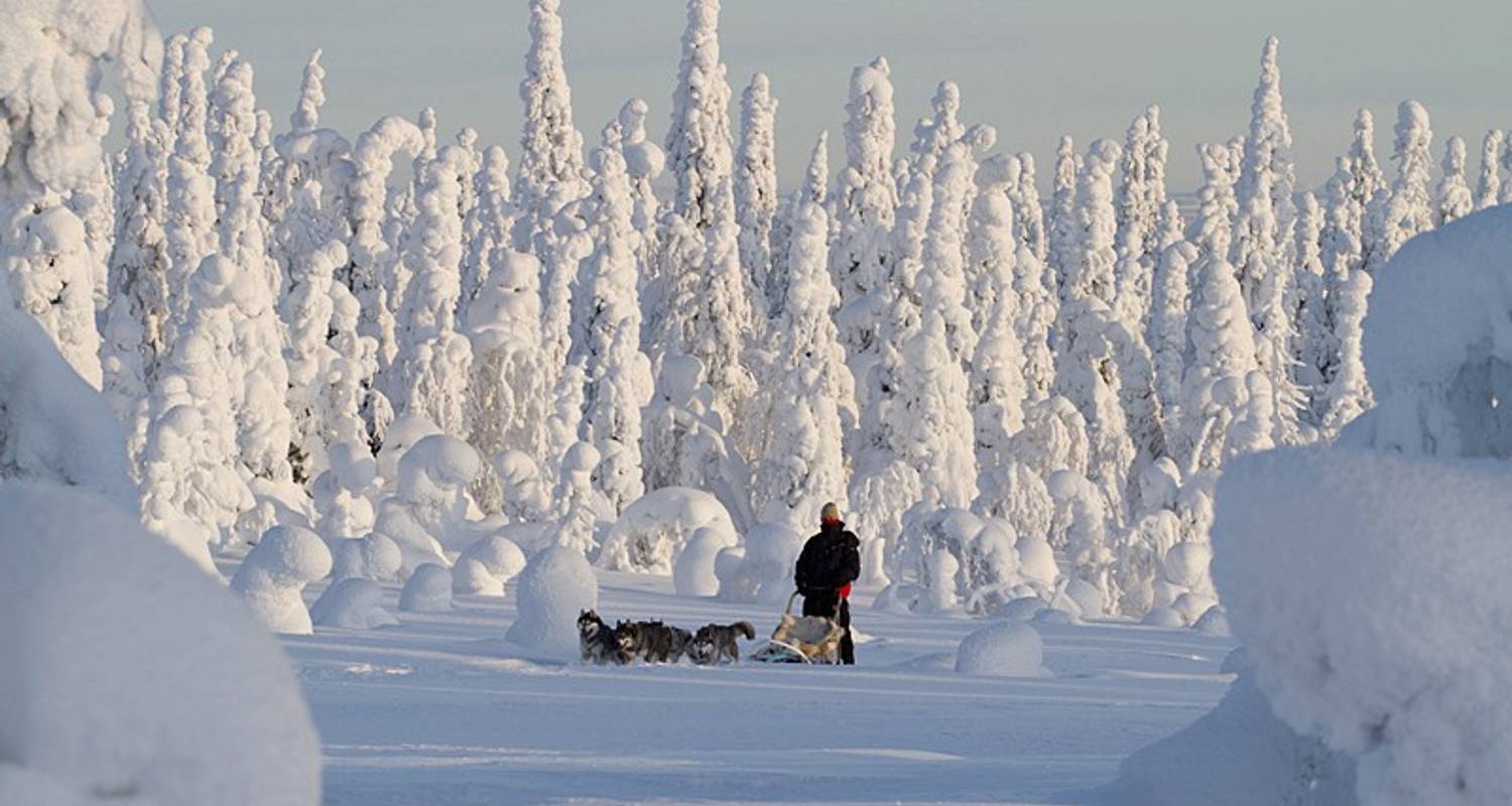 Eine Woche finnische Wildnis - Exodus Travels