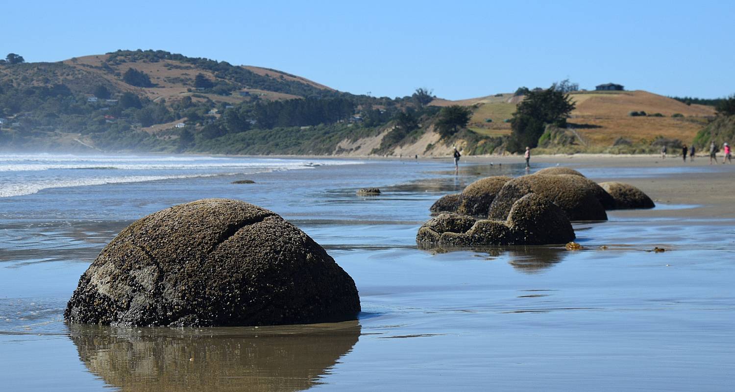 Die Highlights des Südens - ZigZag Tours NZ