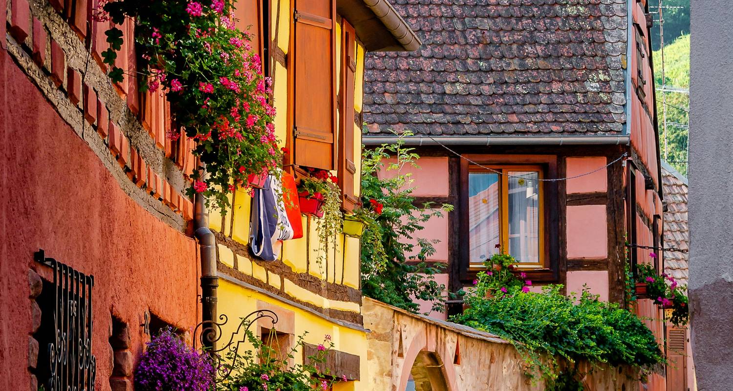 Hiking in Alsace: wine trails, mountain paths and history 8 Days