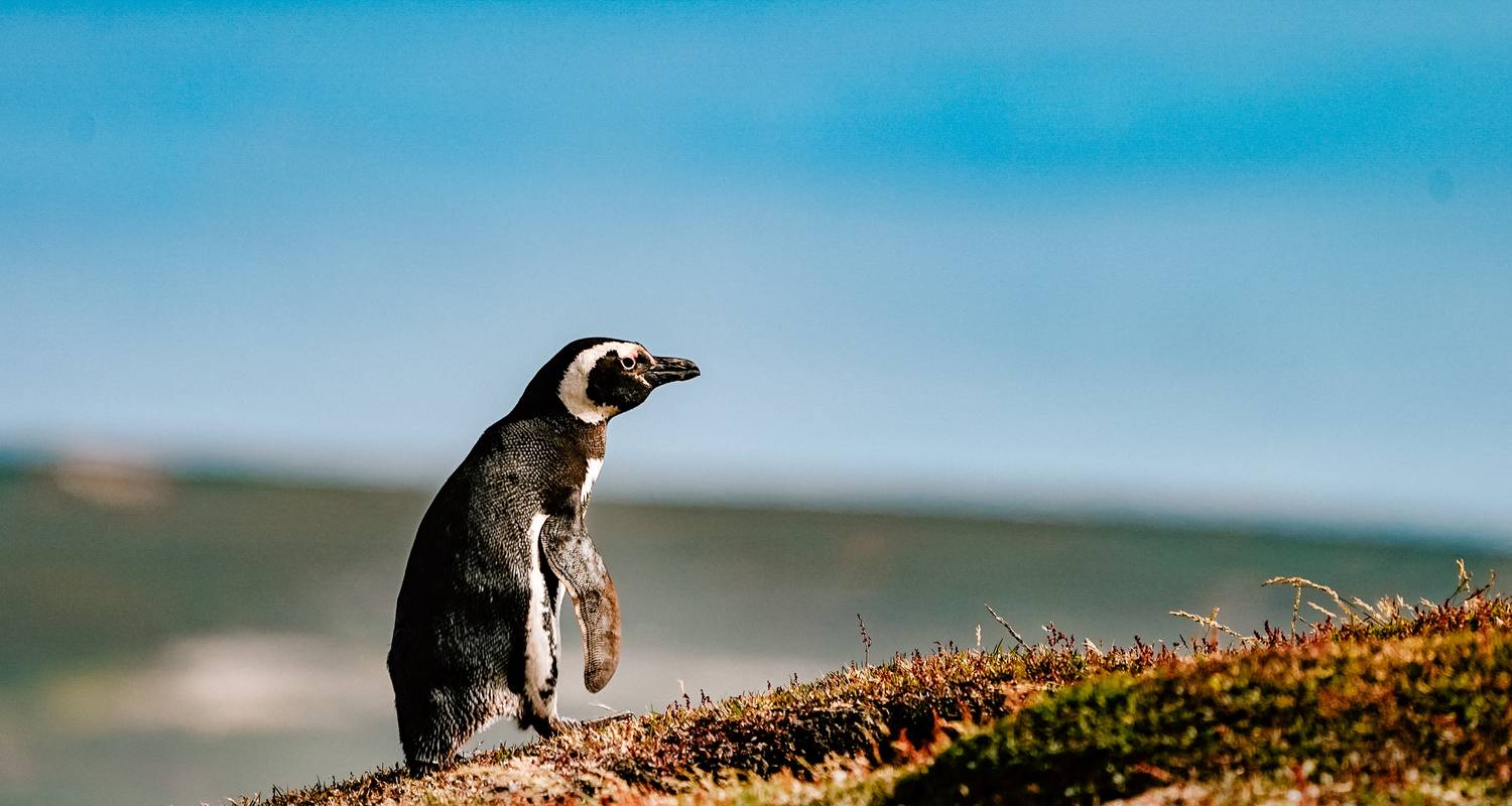 Fotografía Circuitos en América del Sur