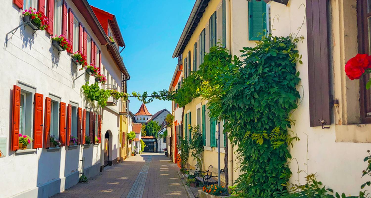 Romantic Rhine - Speyer, Heidelberg, Worms (4 days)