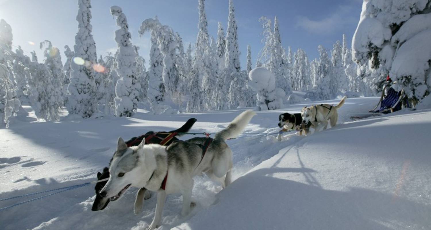 Finnish Winter Adventure Family Holiday - Exodus Travels