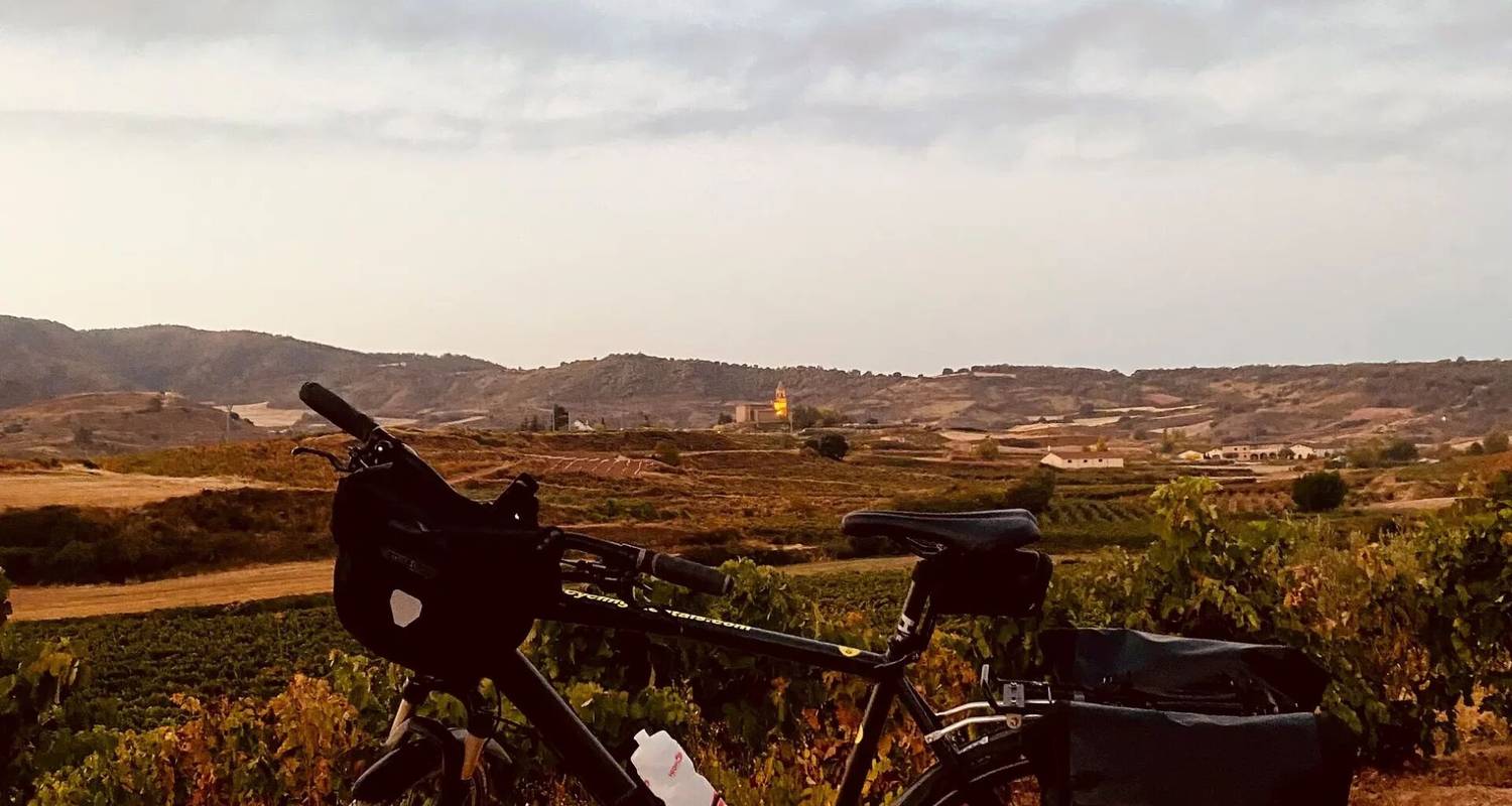 Camino (Frances) QB (Queensland Ballet) – Guided *CYCLE*