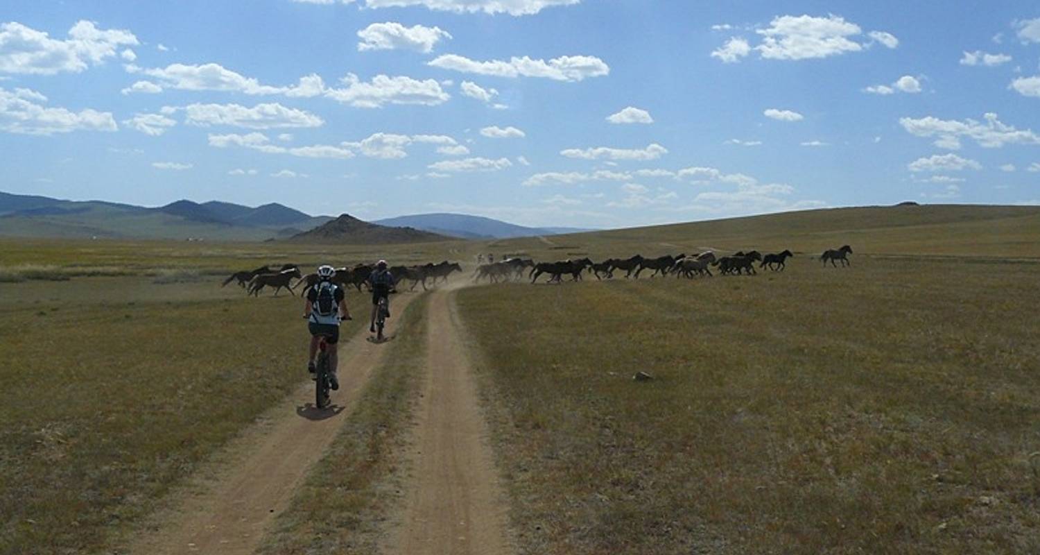 Cycling in Mongolia