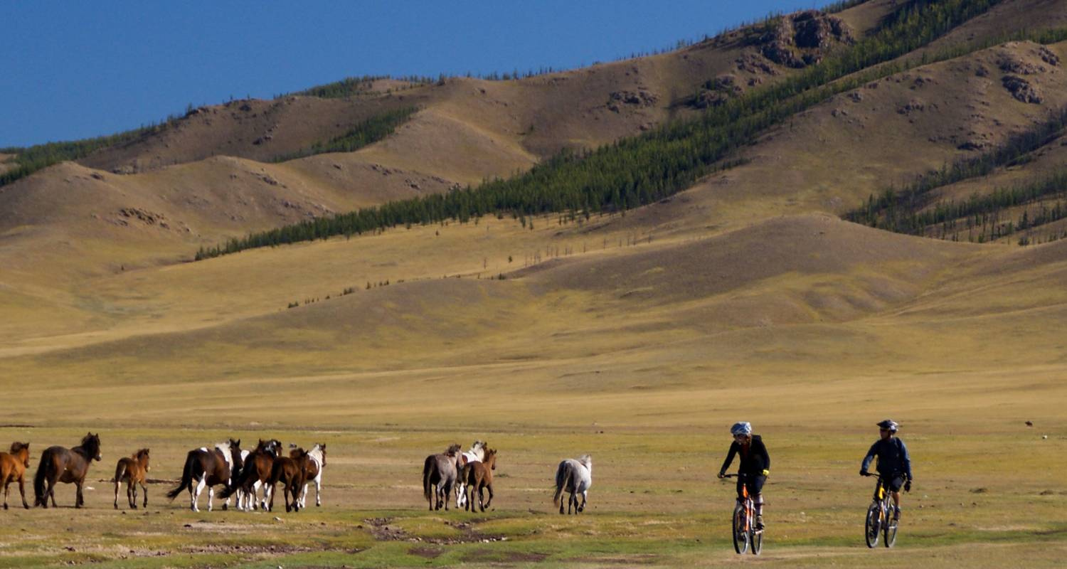 Cycling in Mongolia