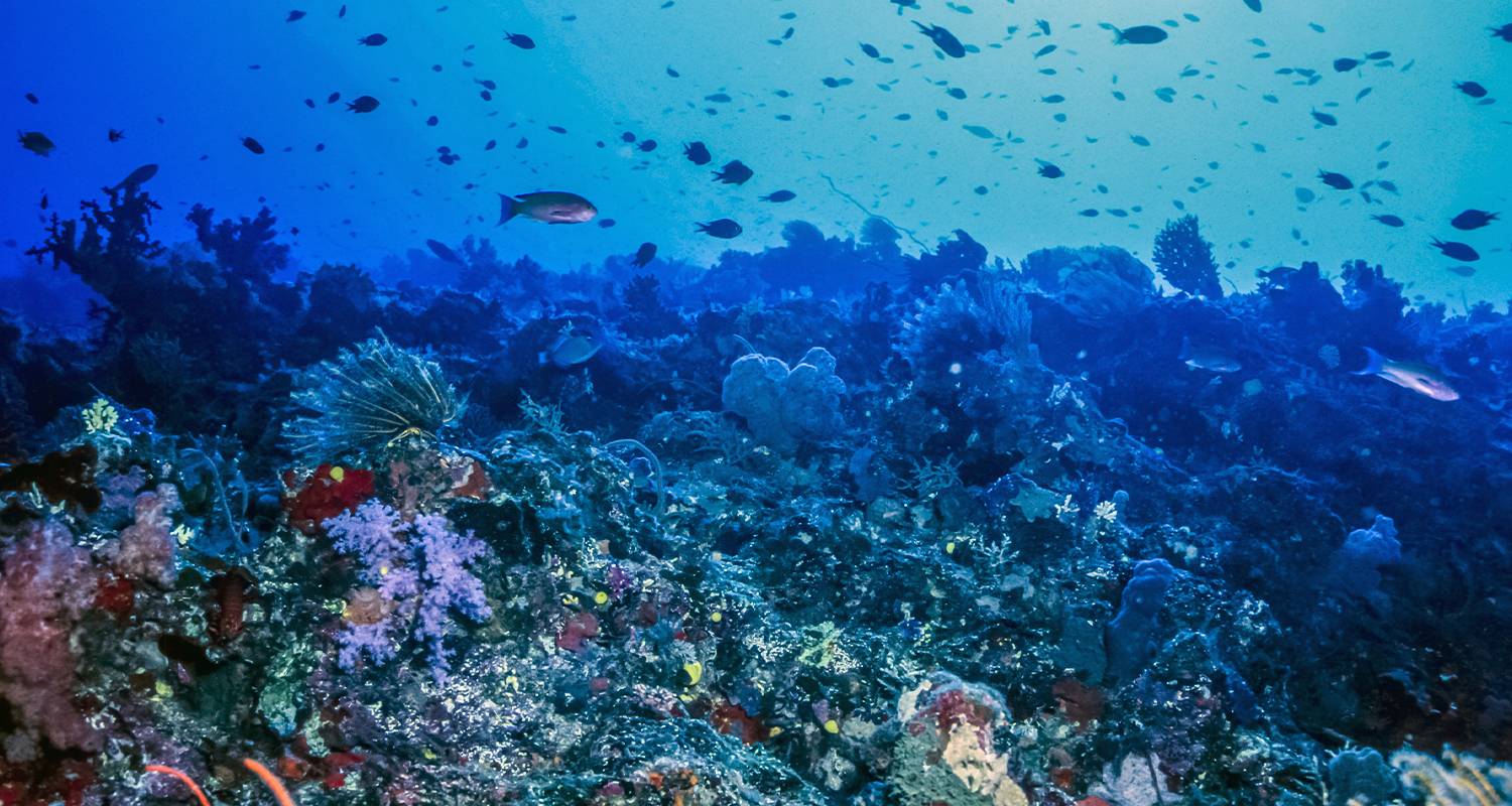 Fiji Explorer & Cruise - 9 days