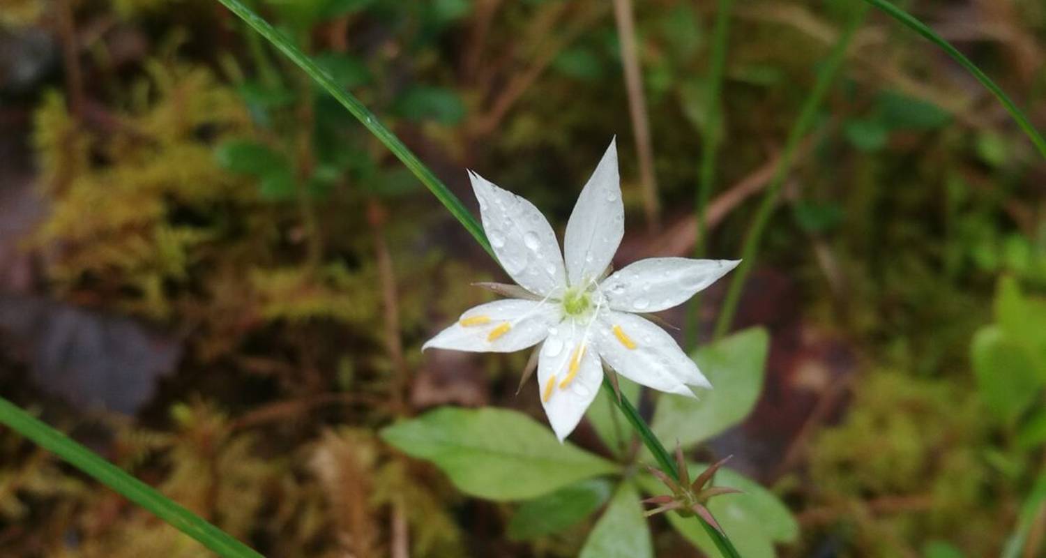 Finland Family Holiday