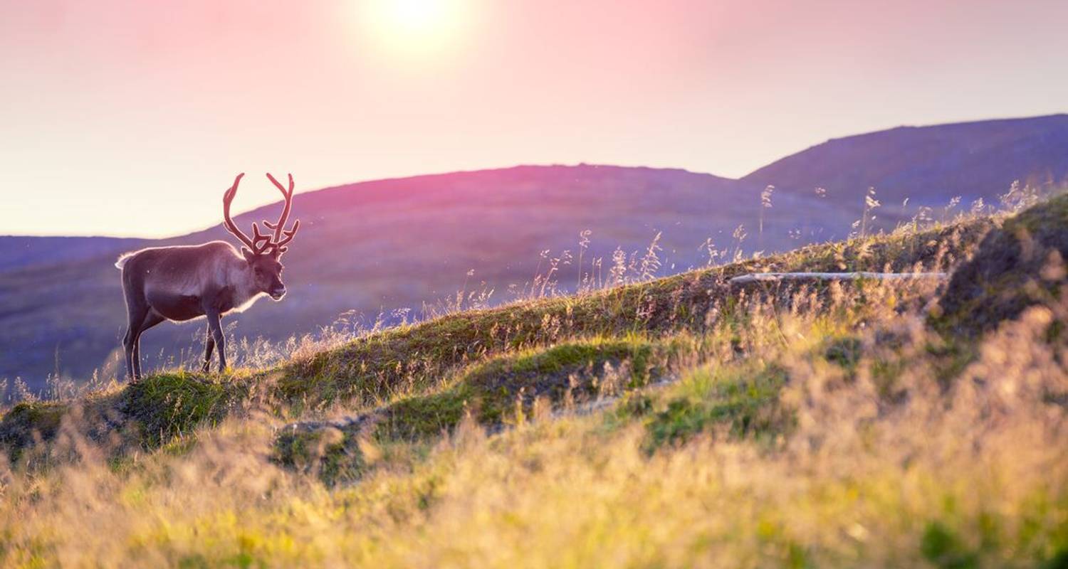 Finland Family Holiday