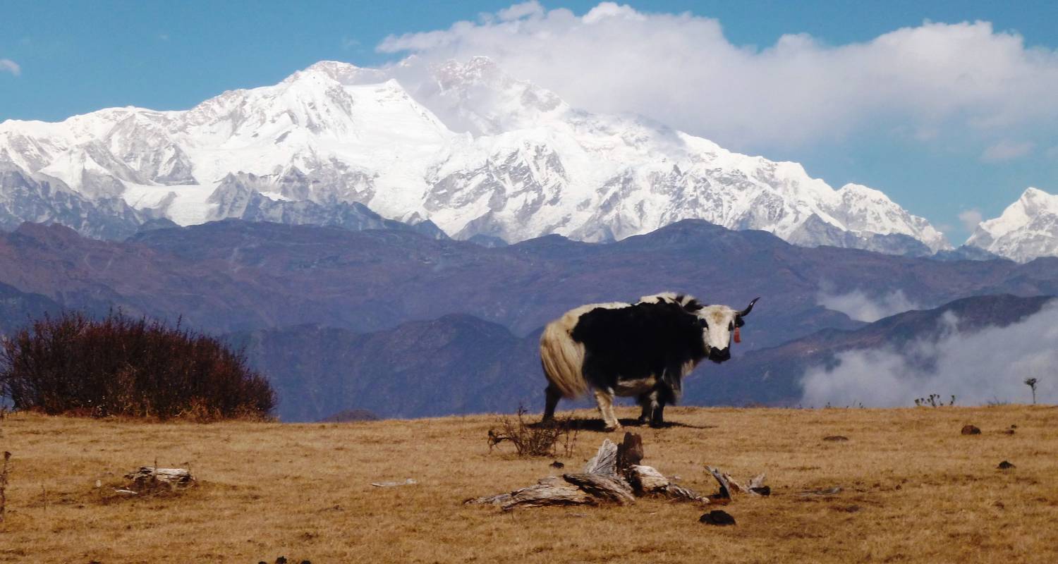 Darjeeling, Sikkim et la crête de Singalila - Exodus Adventure Travels