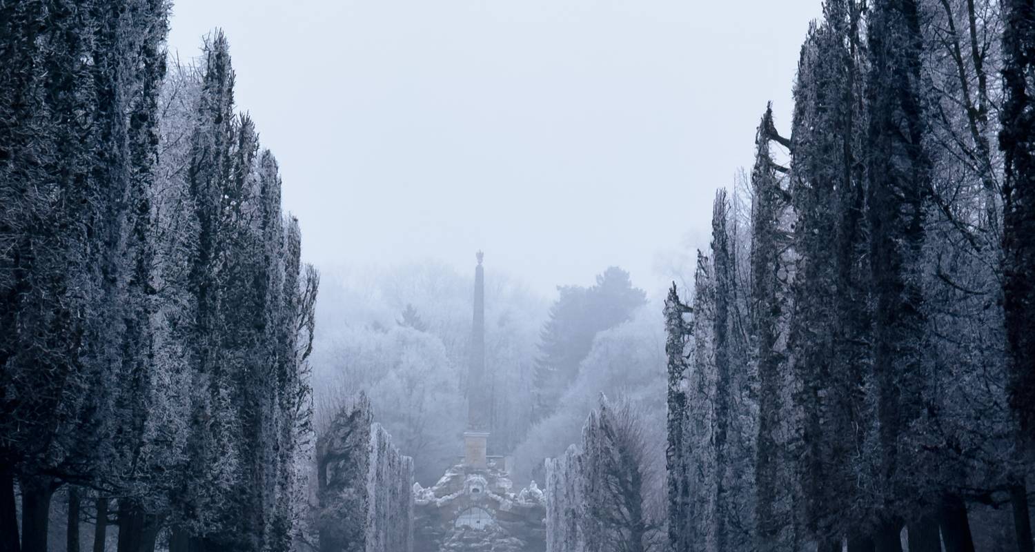 New Year's Eve in Vienna - winter hiking, indulgence & imperial flair (7 Days)