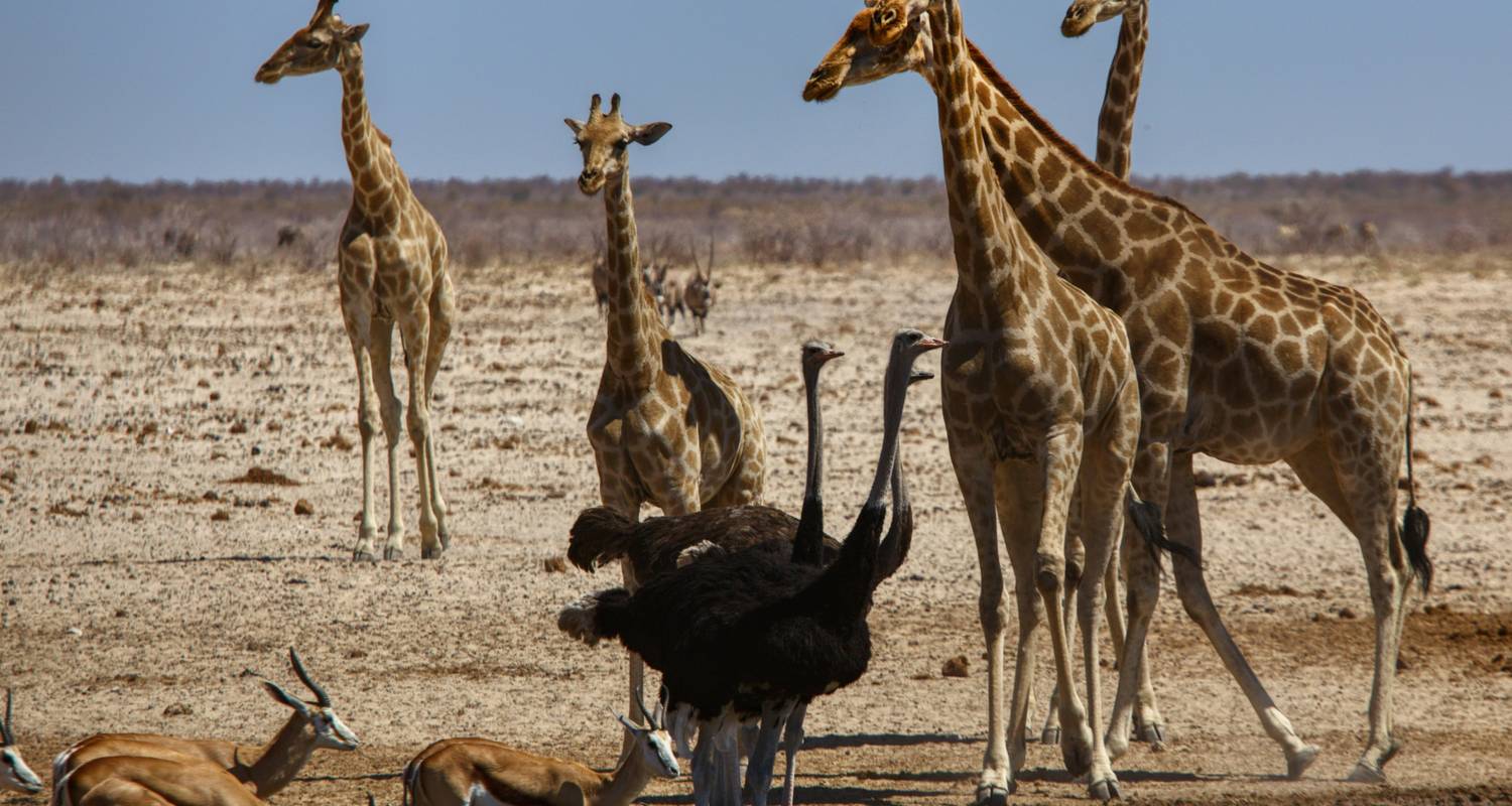 19 Day Angola & Namibia Pioneer Tour (Northbound)