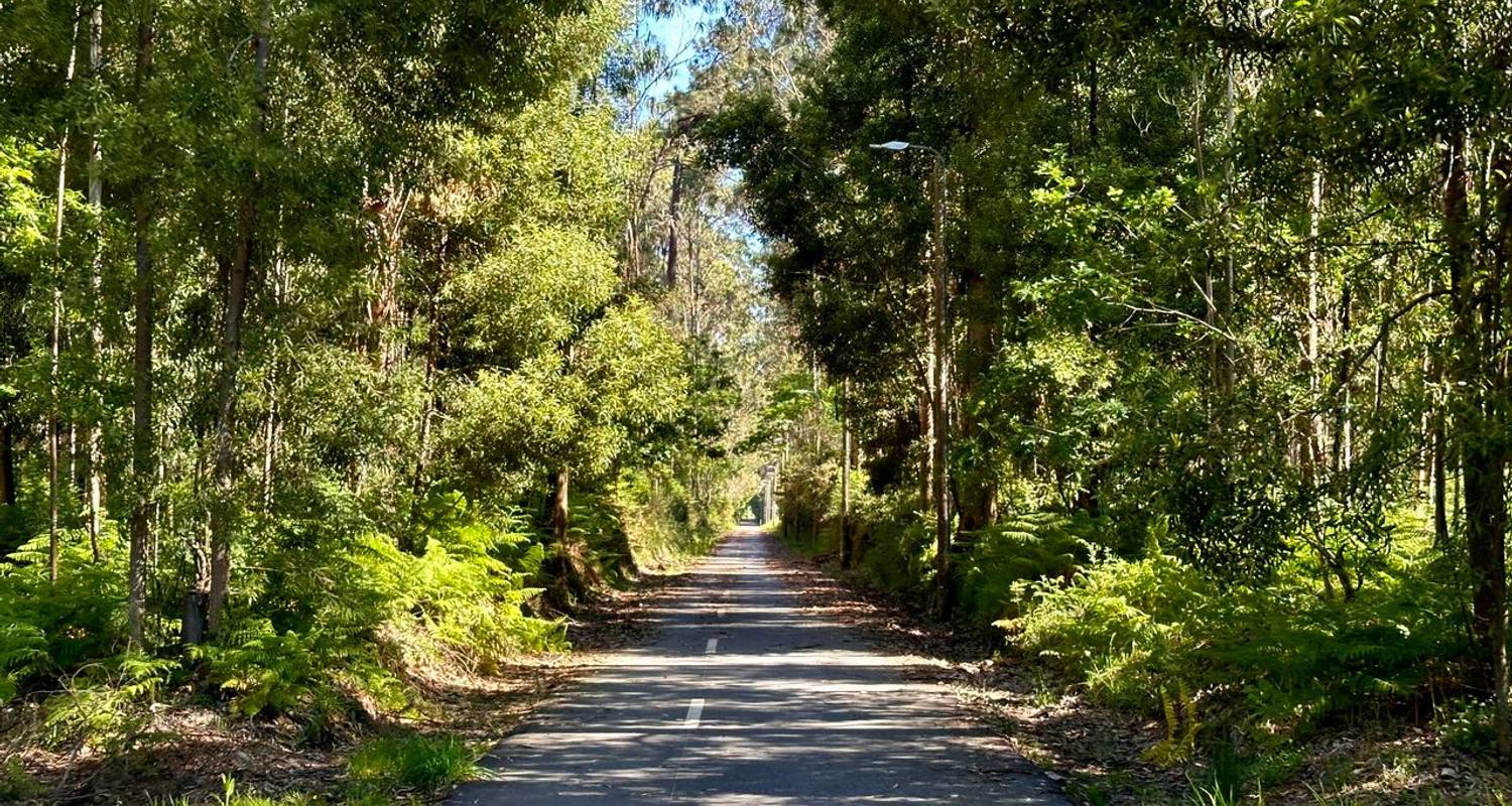 From the Atlantic to the Douro Valley PREMIUM (7 days)