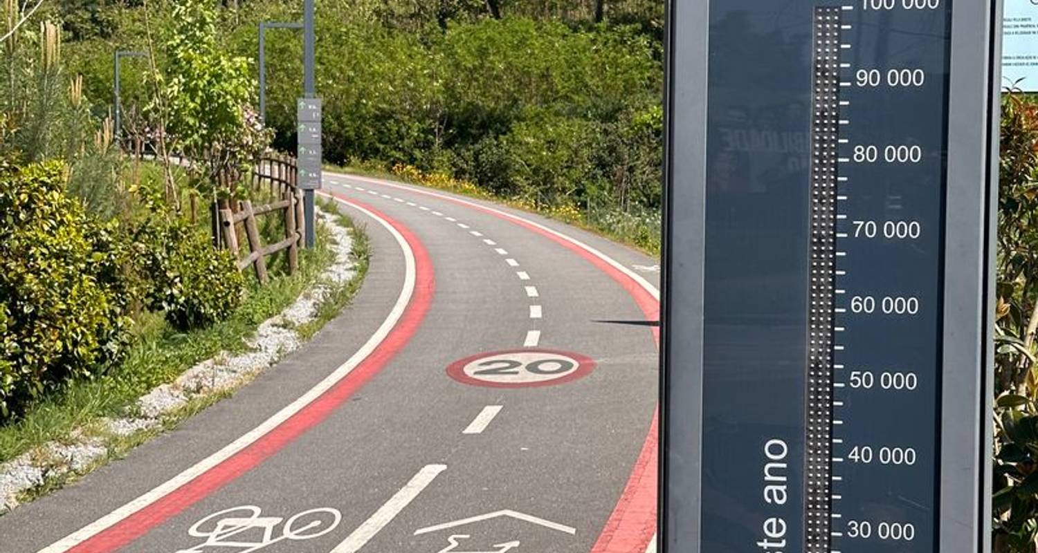 From the Atlantic to the Douro Valley PREMIUM (7 days)