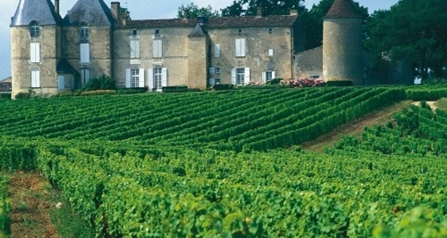 Wine tasting Tours & Trips in France