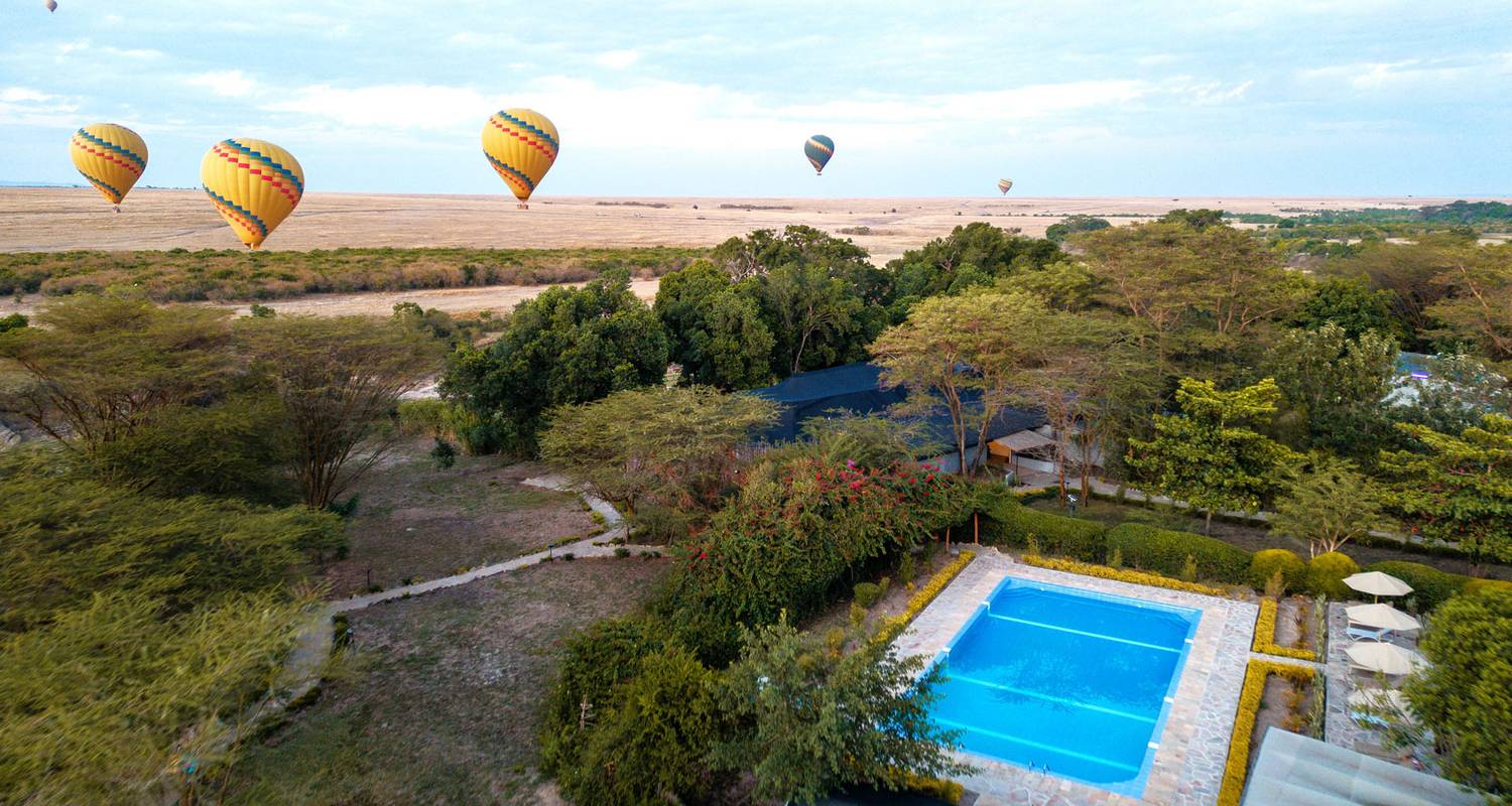 Safari de Fauna Masai Mara - 4 días - On The Go Tours