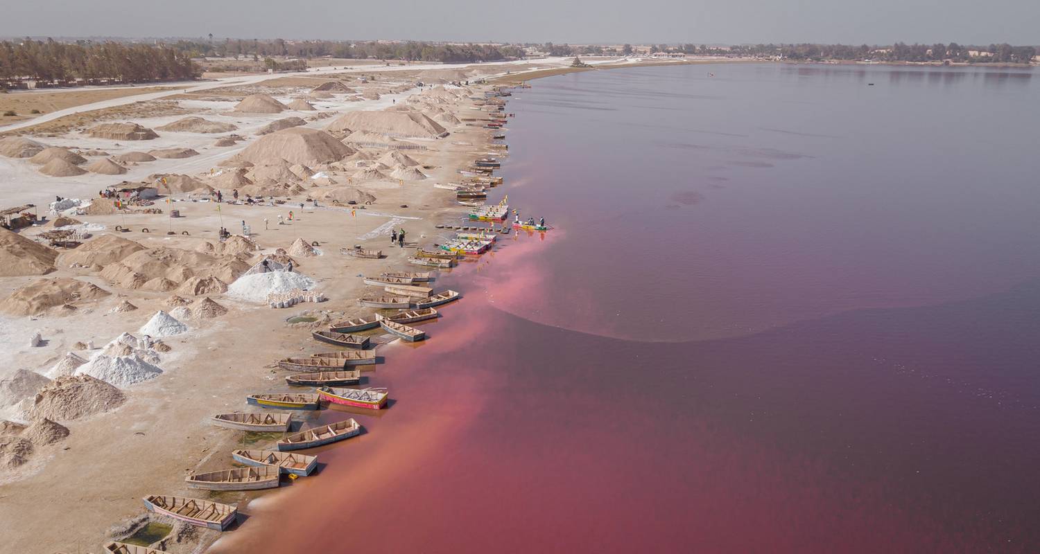 Senegal Unveiled: City, Heritage, Wildlife & Shore  - 5 Days