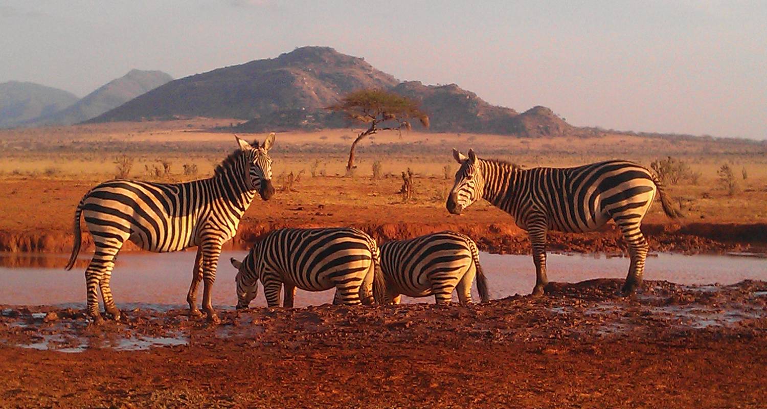 january safari kenya