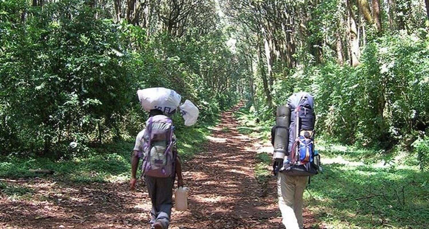 Kilimanjaro Climb Umbwe Route - Sed Adventures Tours and Safaris