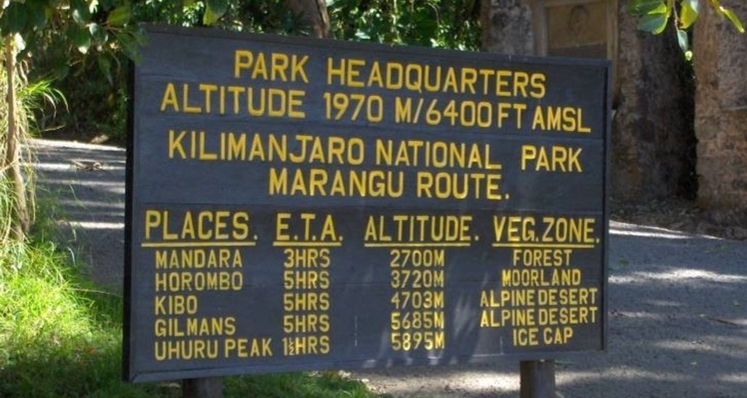 Kilimanjaro Climb Marangu Route - Sed Adventures Tours and Safaris